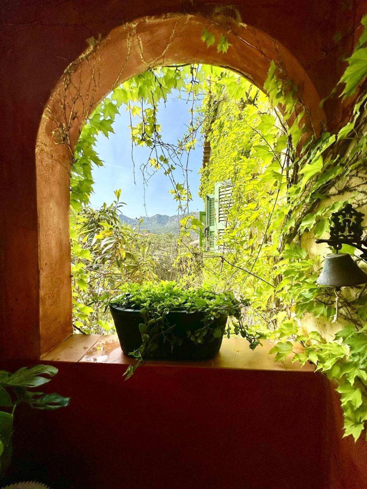 Villa Domaine Victoria Sant'Antonino