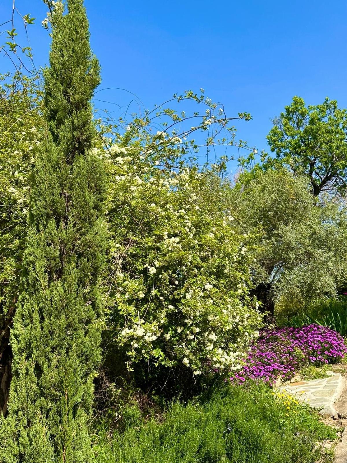 Villa Domaine Victoria *